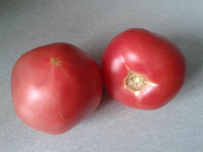 Прикрепленное изображение: 2014-06-13 13.25.37.jpg